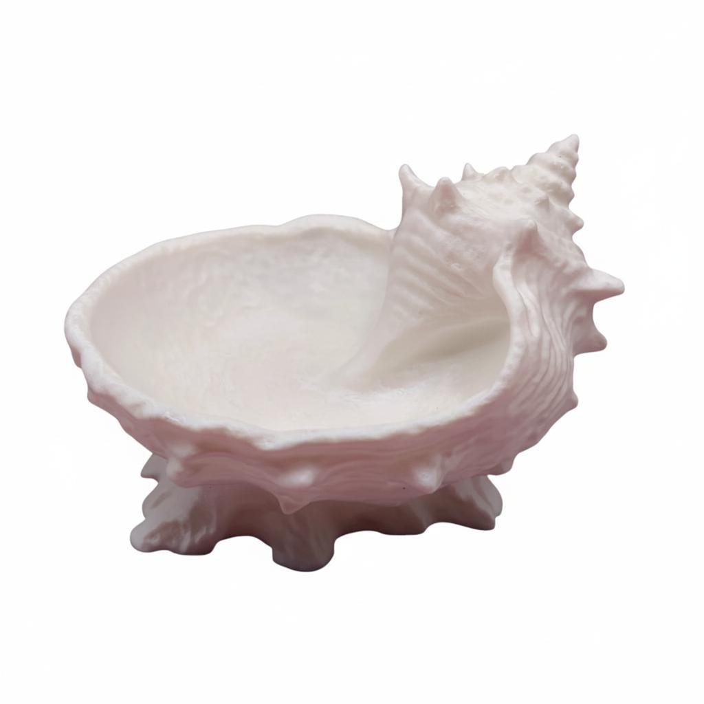 seashell jewelry dish ring holder vanity decor

shell trinket dish for rings earrings and jewelry

coastal seashell jewelry organizer tray for vanity