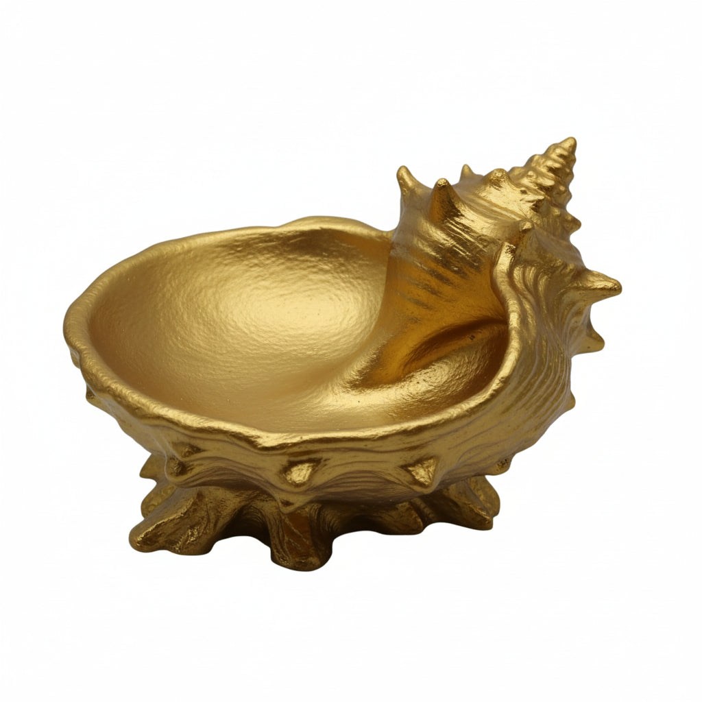 seashell jewelry dish ring holder vanity decor

shell trinket dish for rings earrings and jewelry

coastal seashell jewelry organizer tray for vanity