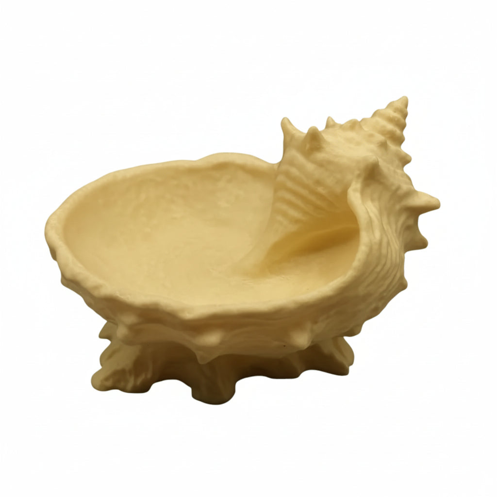 seashell jewelry dish ring holder vanity decor

shell trinket dish for rings earrings and jewelry

coastal seashell jewelry organizer tray for vanity